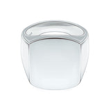 Signet Ring VIII